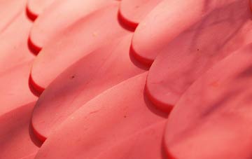 Bremirehoull plastic roof costs